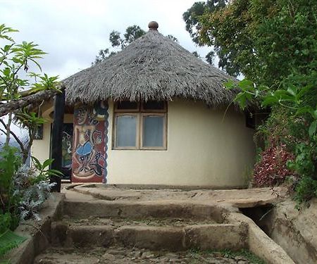 Mount Kilimanjaro View Lodge Moshi Ngoại thất bức ảnh