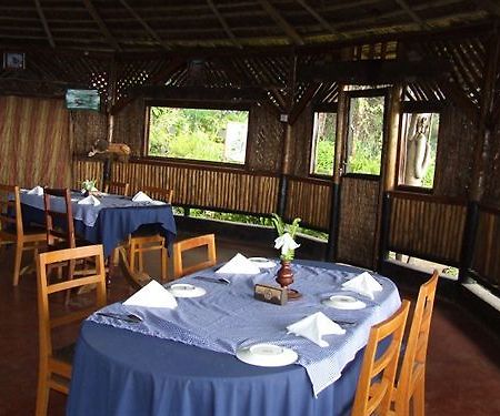 Mount Kilimanjaro View Lodge Moshi Ngoại thất bức ảnh