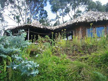 Mount Kilimanjaro View Lodge Moshi Ngoại thất bức ảnh