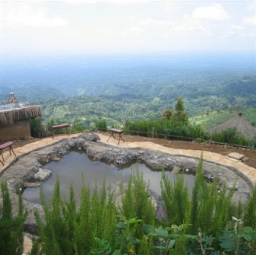 Mount Kilimanjaro View Lodge Moshi Ngoại thất bức ảnh