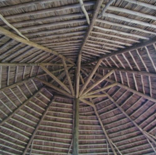 Mount Kilimanjaro View Lodge Moshi Ngoại thất bức ảnh