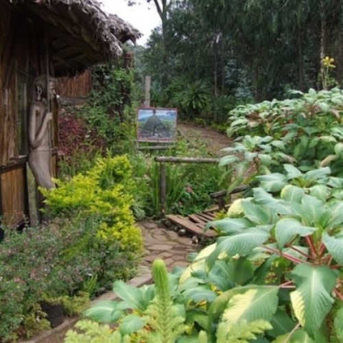 Mount Kilimanjaro View Lodge Moshi Ngoại thất bức ảnh