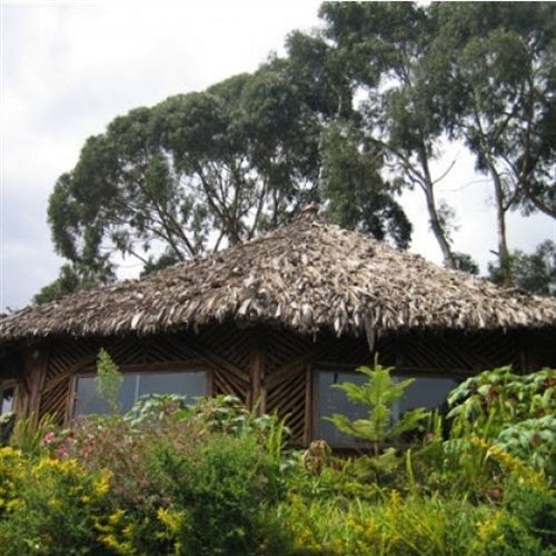 Mount Kilimanjaro View Lodge Moshi Ngoại thất bức ảnh