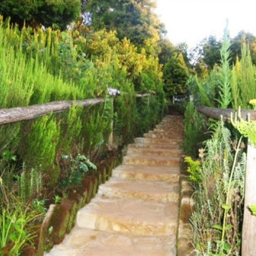 Mount Kilimanjaro View Lodge Moshi Ngoại thất bức ảnh