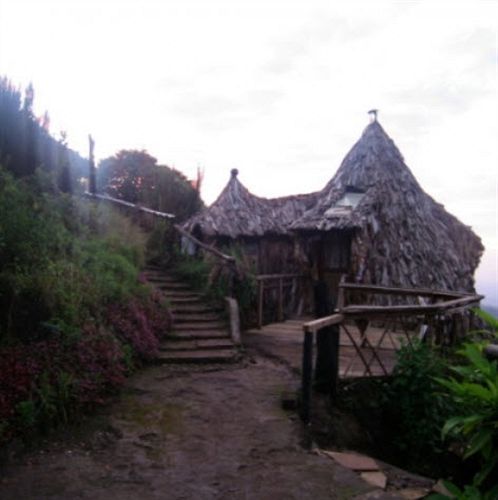 Mount Kilimanjaro View Lodge Moshi Ngoại thất bức ảnh